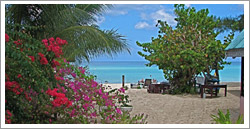 Firefly Beach Cottages - Negril Jamaica
