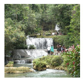 YS Falls Tour - Negril Jamaica