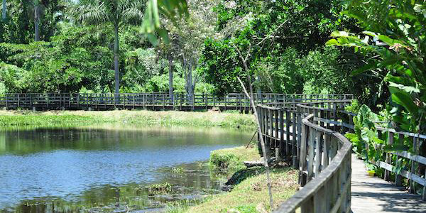 Royal Palm Reserve - Negril Jamaica